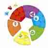 Juego Educativo Avenue Mandarine Aprende los Colores 30Pcs 6 Colores